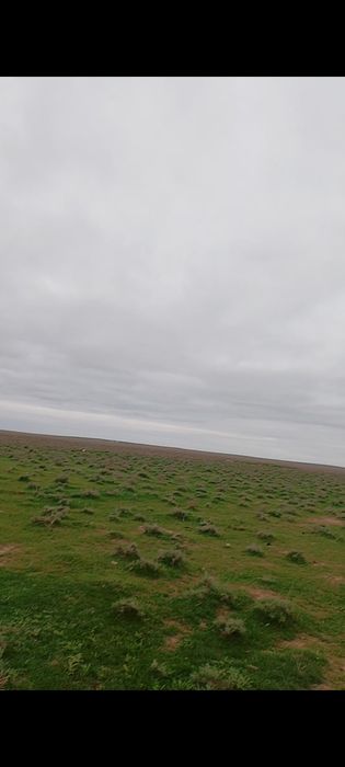 қора сатылады 280млн