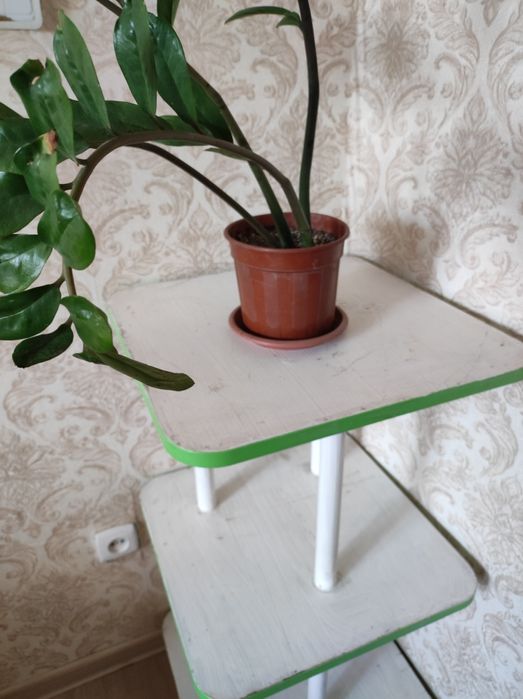 Комнатные цветы дешево