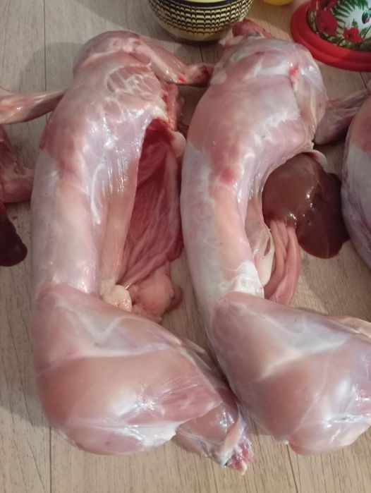 Свежее мясо кролика!!!