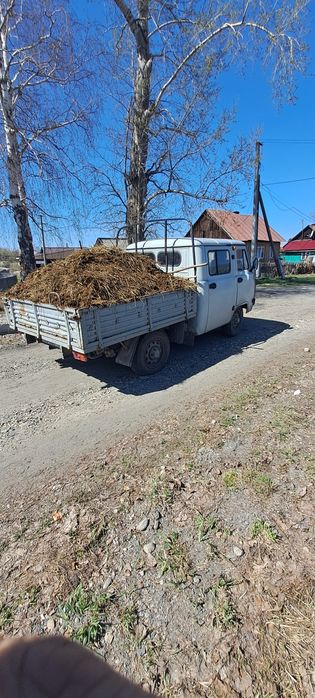 Продам навоз коний