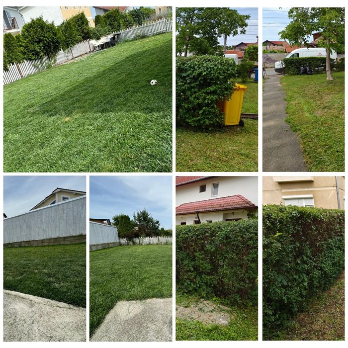 Amenajări spatii verzi, întreținere