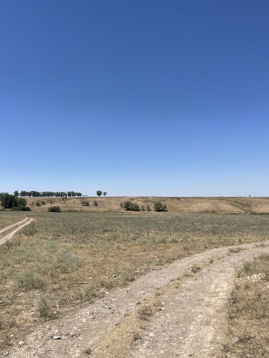 продам земельный участок