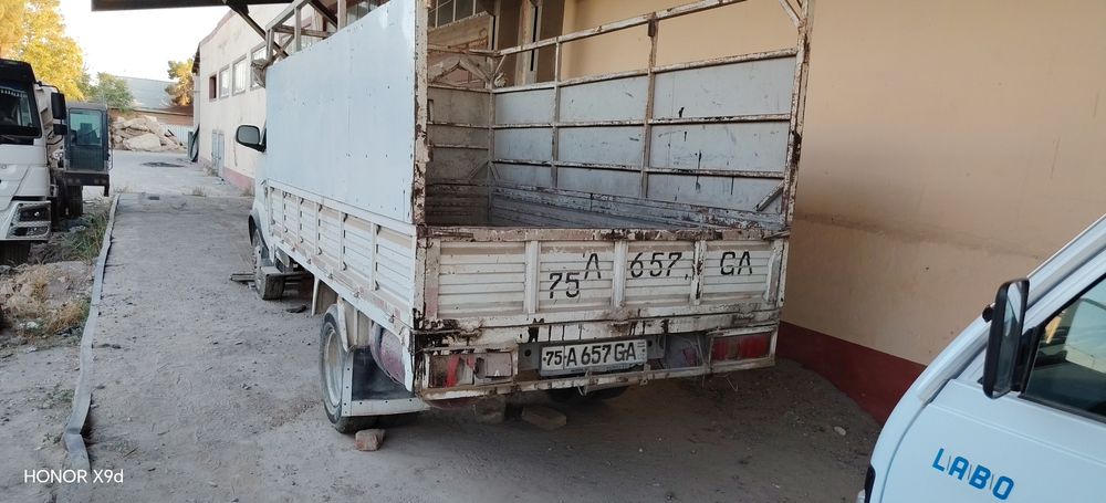 Cchangan qosh balonli katta labo sotiladi
