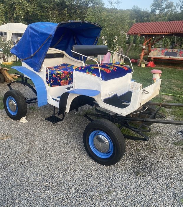 Caleasca/trasura ponei si pentru cai