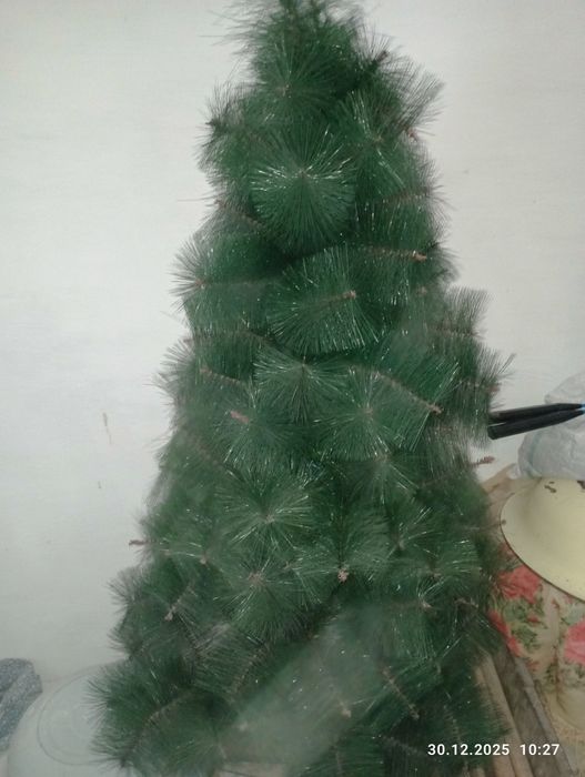 Ёлка алдын пайланылган