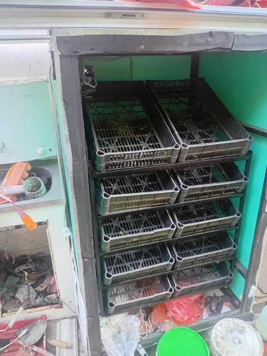 продам инкубатор
