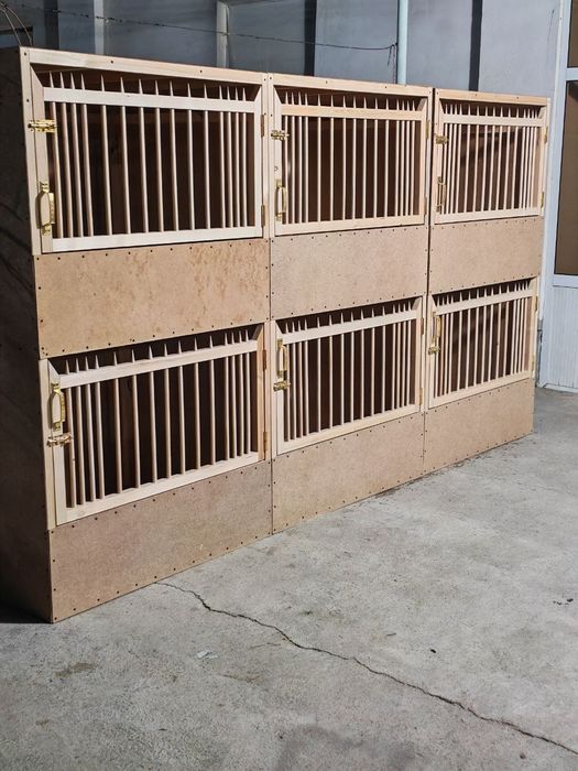 Dakan XO'ROZ uchun kataklar sotiladi