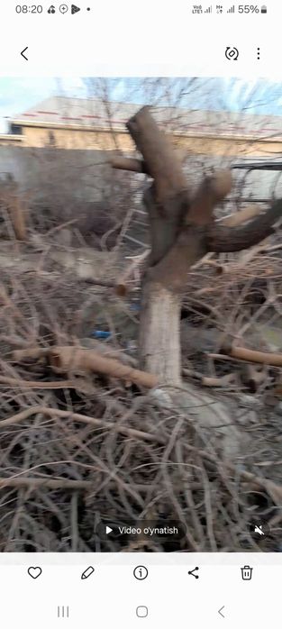 Mayda shox o‘tinlar sotiladi,  aralash qalin o‘tinlarxam bor