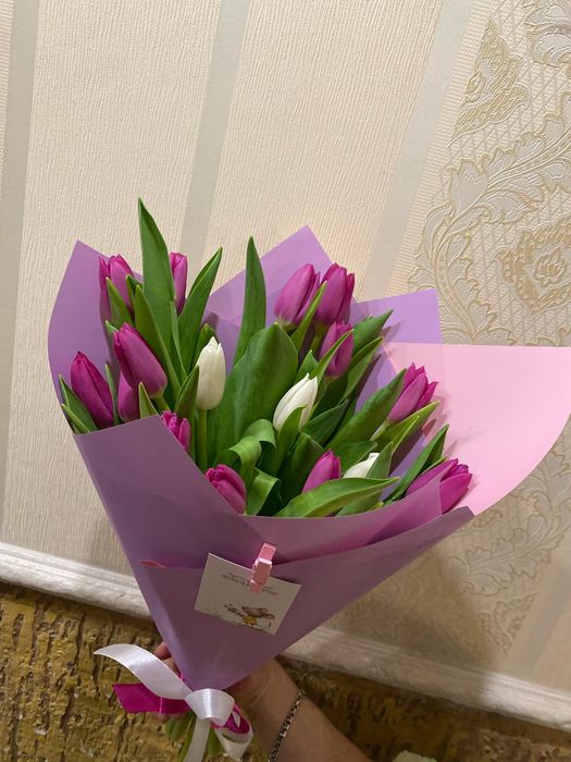 Тюльпаны классические