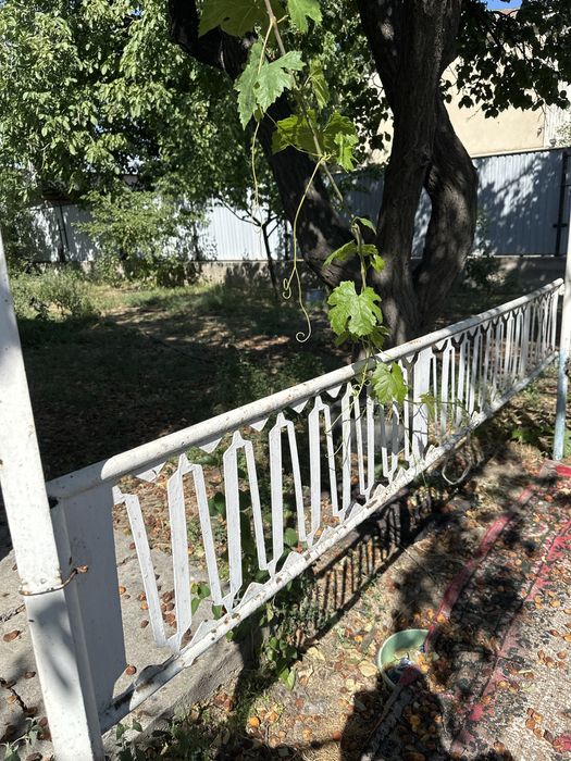 Тапчан темір кровать