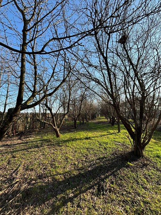 Vand casa sat Jiul comuna Tuglui 32.000 euro si 1 teren separat la 13.500 euro