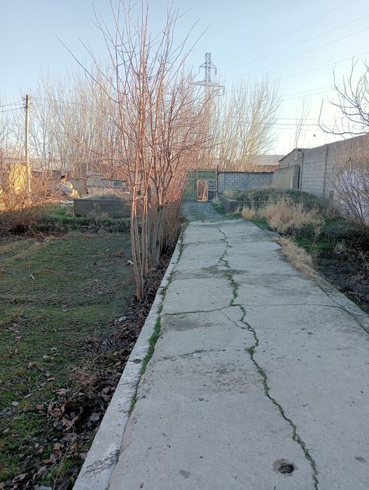 Асалому алкум йир учаска