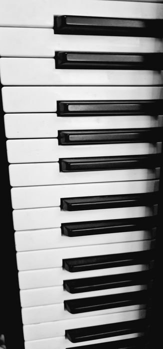 Claviatura pentru Korg Pa800/Korg pa2/Korg pa3/Korg pa4/Roland va76