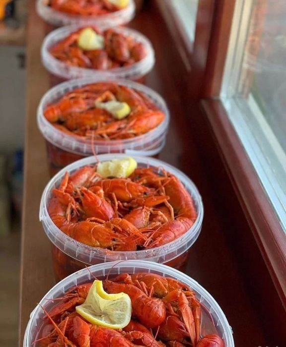 раки живые раки раки