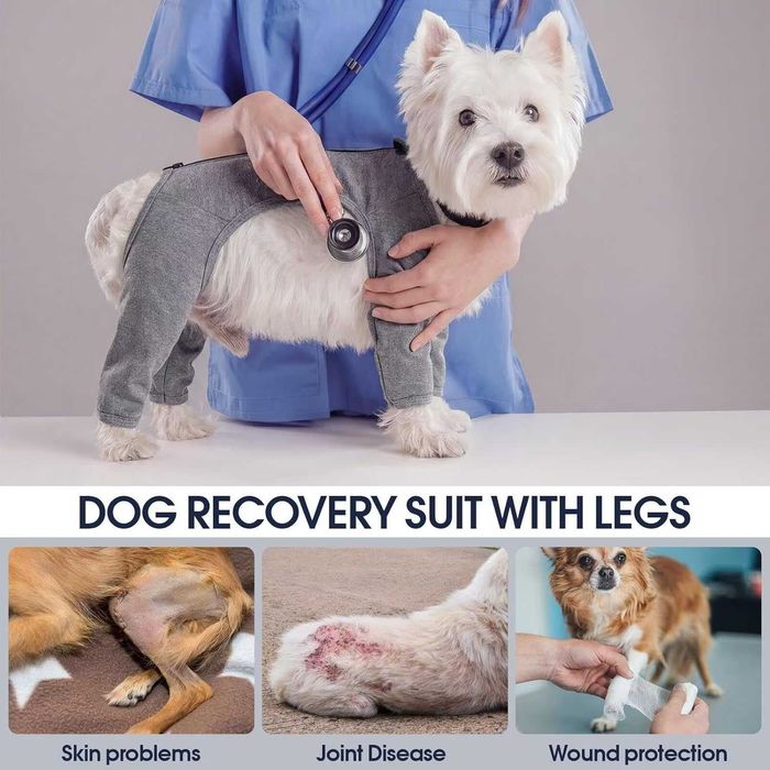 IECOii Костюм за възстановяване след операция за кучета с дълъг ръкав