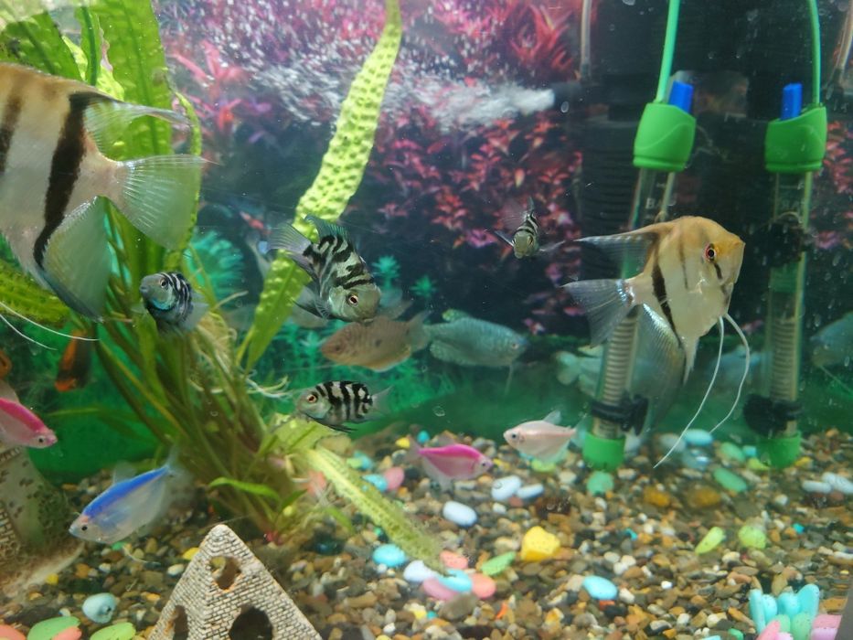 Аквариум 95 литровый