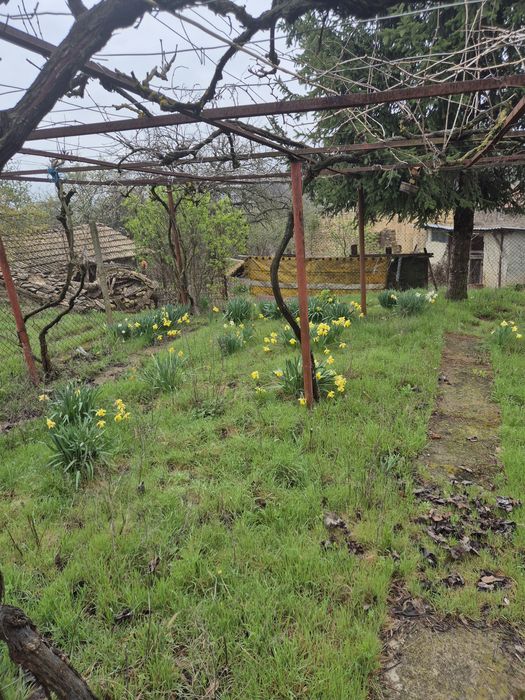 Продавам селски имот в с. Беджене