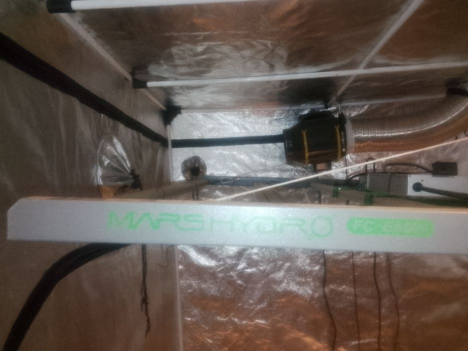 Гроубокс для выращивания растений