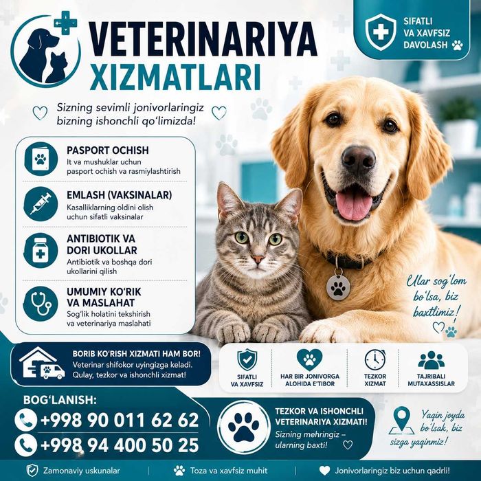 Ветеринарные услуги - "Vet house"
