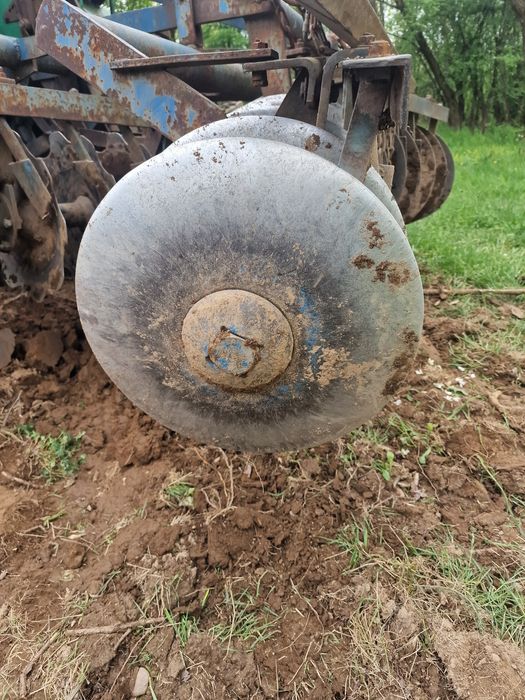 Disc sârbesc 6 talere