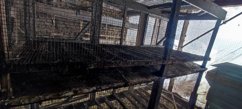 Товук куйон жужалар учун катак