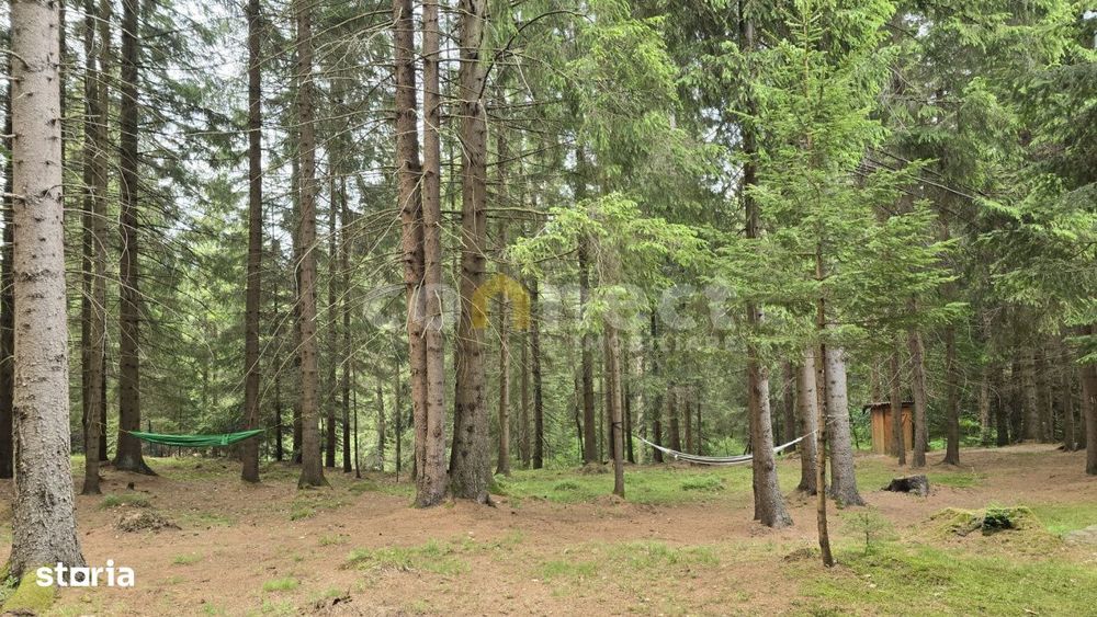 De vanzare casa de vacanta deosebita | Calatele Padure – Dealul Negr