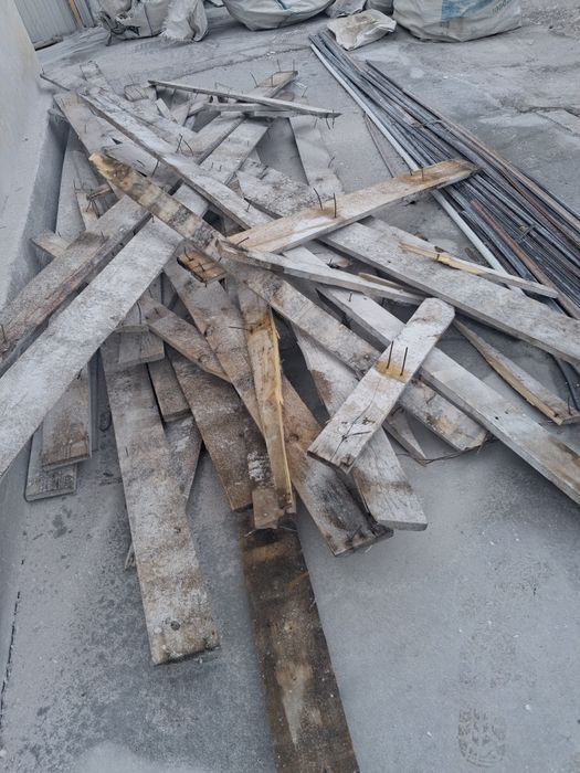 Отдам даром старый лес