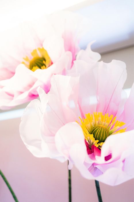 Decor evenimente: nunta, botez, cununie, spatii comerciale