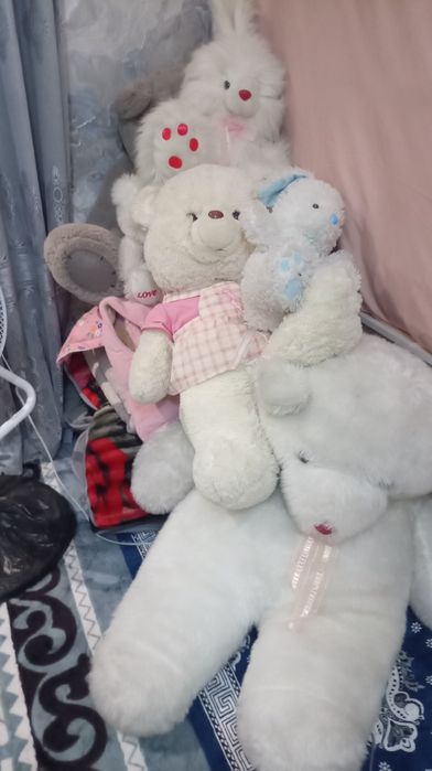 Юмшок Айикчалар холати ЗУР