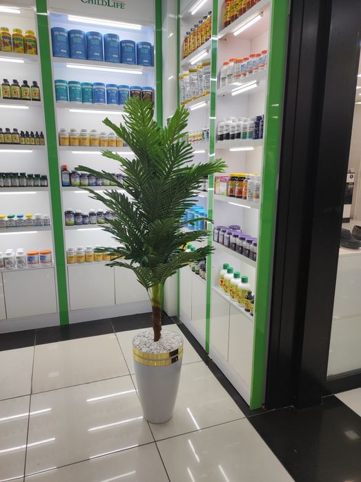 Искусственный  палма