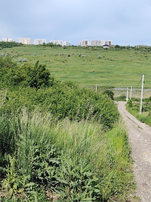 450(sau mai puțin) mp intravilan Rediu - Iasi