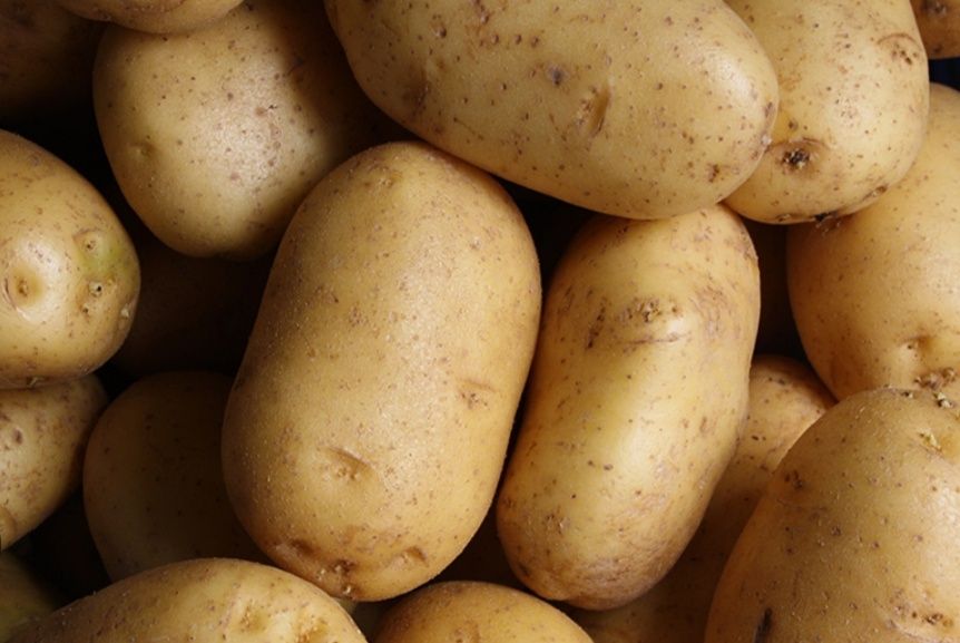 Продам картофель