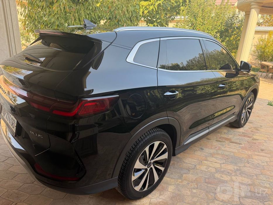 BYD chempion 2024