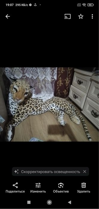 Тигр большой продается