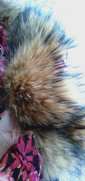 Куртка     зимняя