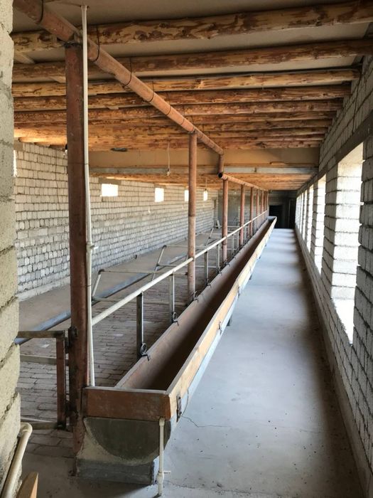 Уй Сотилади! Молхонаси билан!