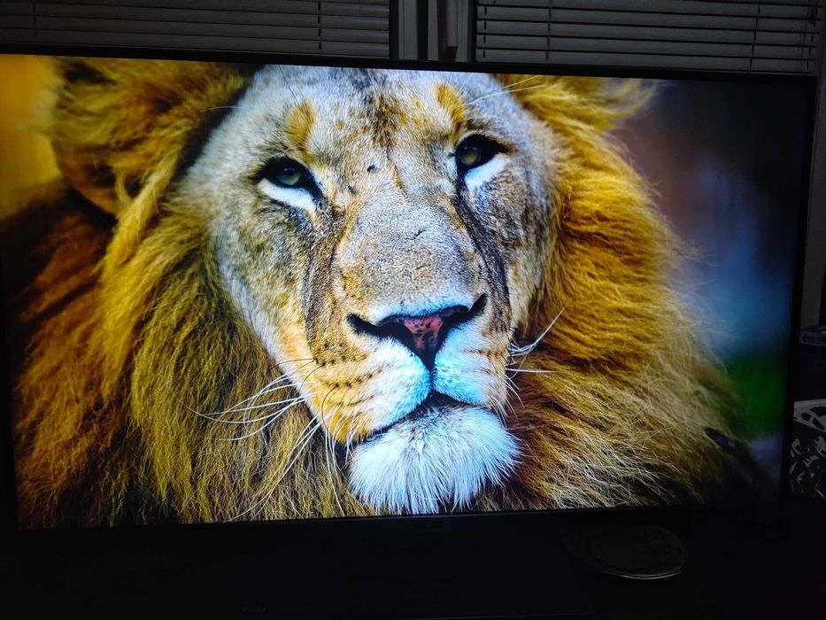 продавам 32 инчов 4k професионален монитор ASUS ProArt PA32UCG