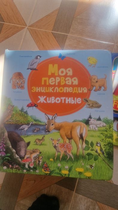 Самокат шагокат книги детские