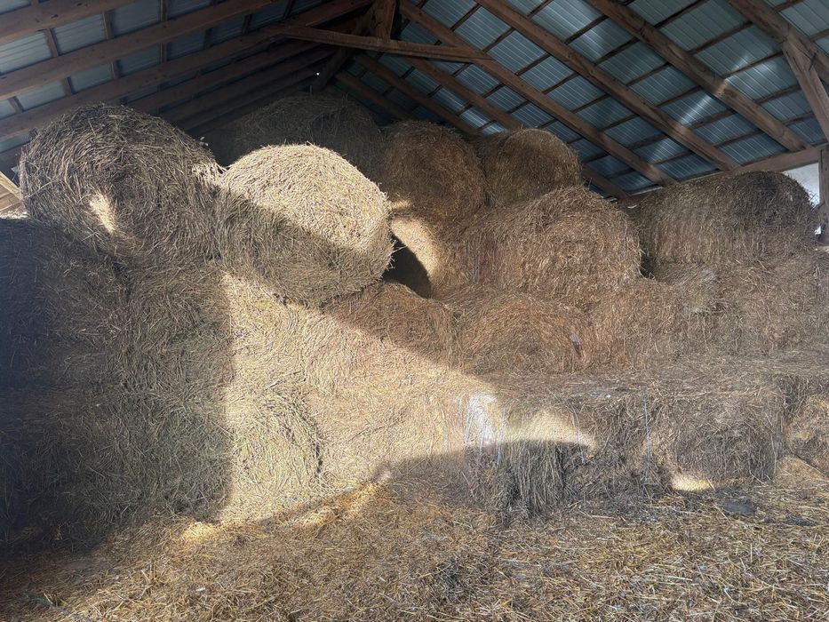 Furaje -Baloti Lucerna