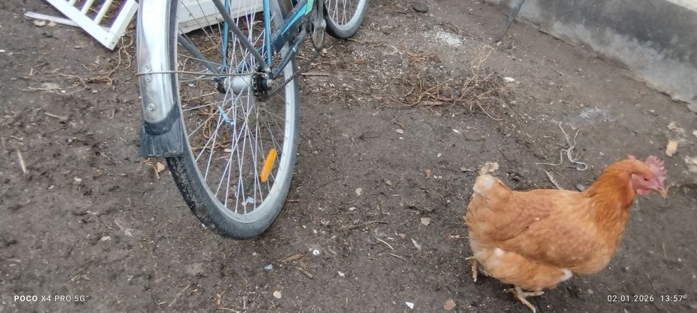 Продам велик  срочно