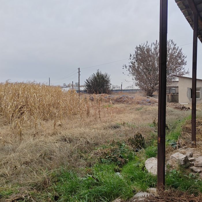 Teplitsa ferma 2.6 gektar nazarbe muzimpix tarafta sotiladi