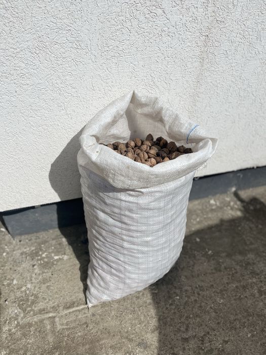 Nuci in coaja - 25 kg - uscate, bune de consum