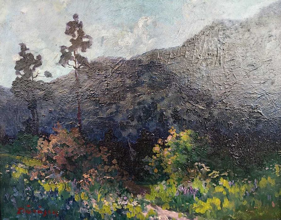 Tablou vechi - peisaj  - semnat Darascu