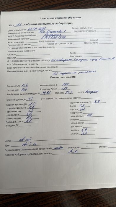 КХ реализует пшеницу высокого класса