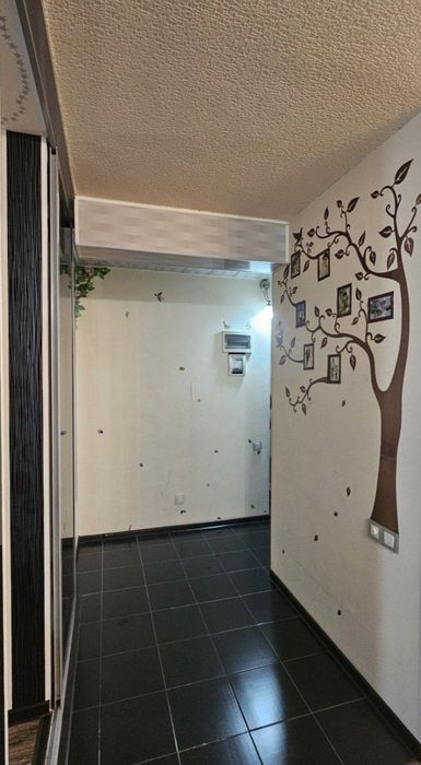 Чимган ECOBOZOR 3ком №228 J