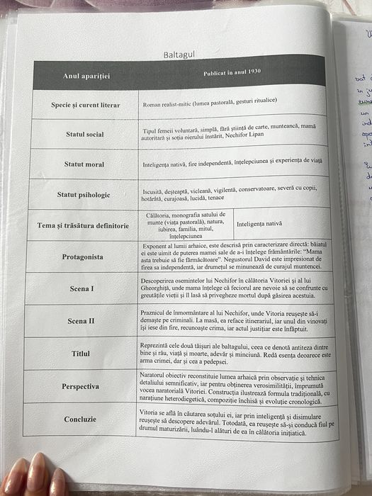 Portofoliu materie pentru Bacalaureat limba română