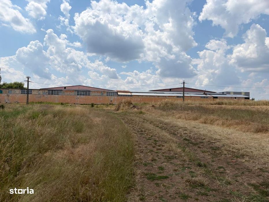 Teren 9.976 mp cu proiect aprobat parc fotovoltaic 1,4 MW, Bucovat
