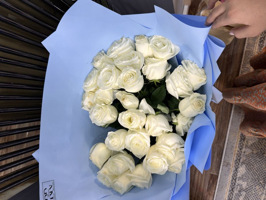 Цветы  белая роза