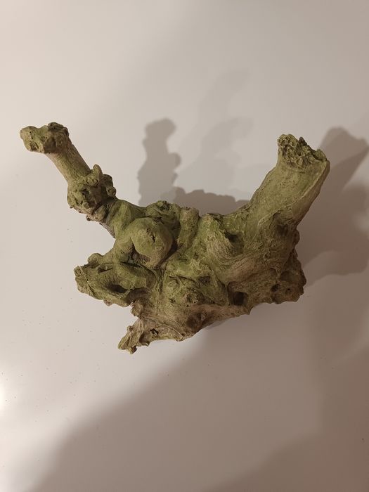 Аквариумистика, всё для аквариума