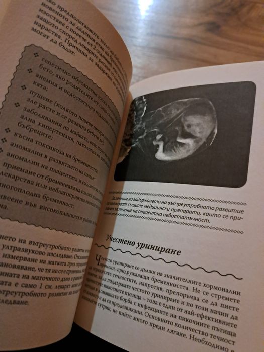 Книга за бременни